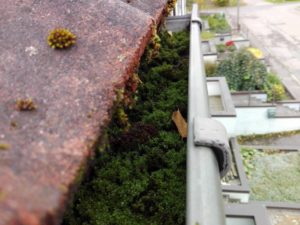 Sniegs uz jumta - kad tas kļūst bīstams un kā pasargāt māju ziemā? 9 Aizsērējusi lietusūdens tekne